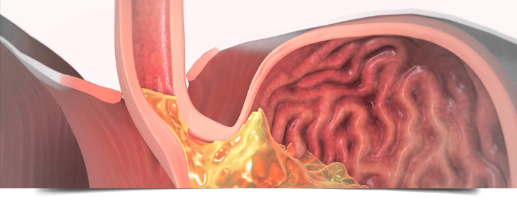 Best Gastroenterologist in Bathinda