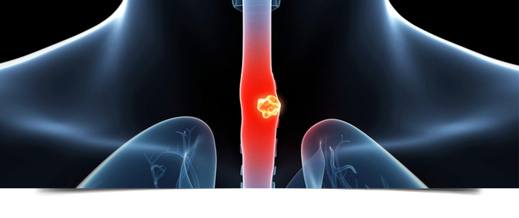 Best Gastroenterologist in Bathinda